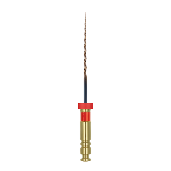 E3 Conserve F2
