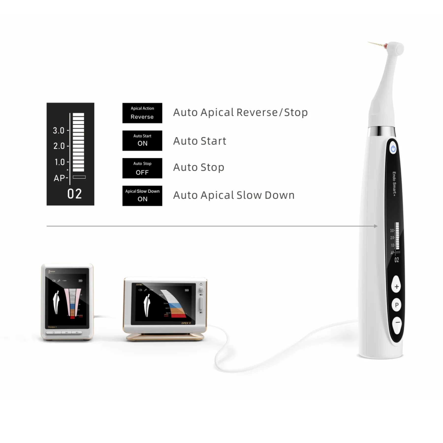 Endo Smart Plus + Free Head EOFY Bundle