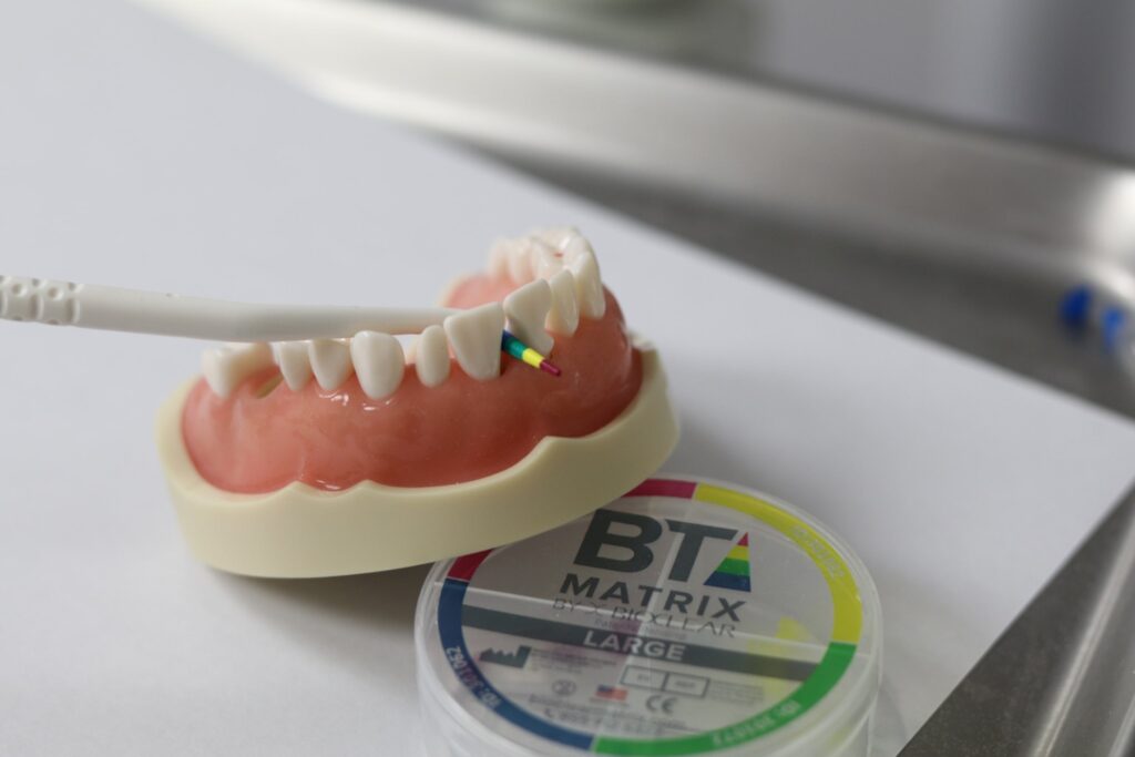 IMG_7068-min-1024x683