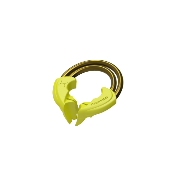 Twin Ring