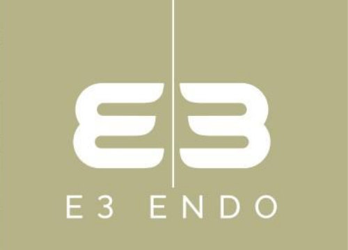 E3Endo