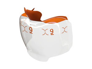 Bioclear Evolve Posterior Matrix Series - Reorder