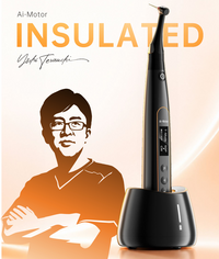 Woodpecker Terauchi Ai Endo Motor with Built in Apex Locator