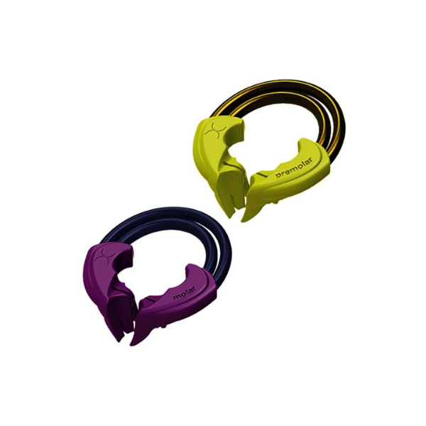 Twin Ring